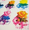 CMYK Flower Bouquet limited edition screenprint by Richard Pendry