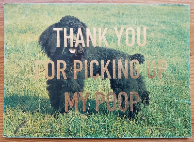 ''Thanks...5'' vintage dog postcard with gold leaf by Dave Buonaguidi
