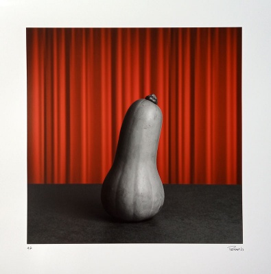 ''Gourd'' limited edition gicle print by Mark Perronet