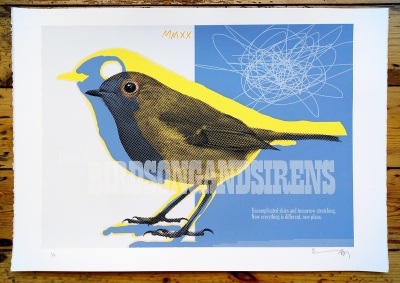 ''Robin MMXX'' limited edition screenprint by Richard Pendry